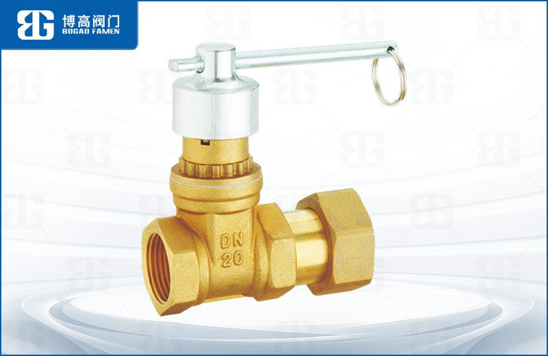 磁(cí)性鎖閉活接止(zhi)回閘閥